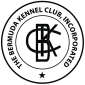 BKC Logo